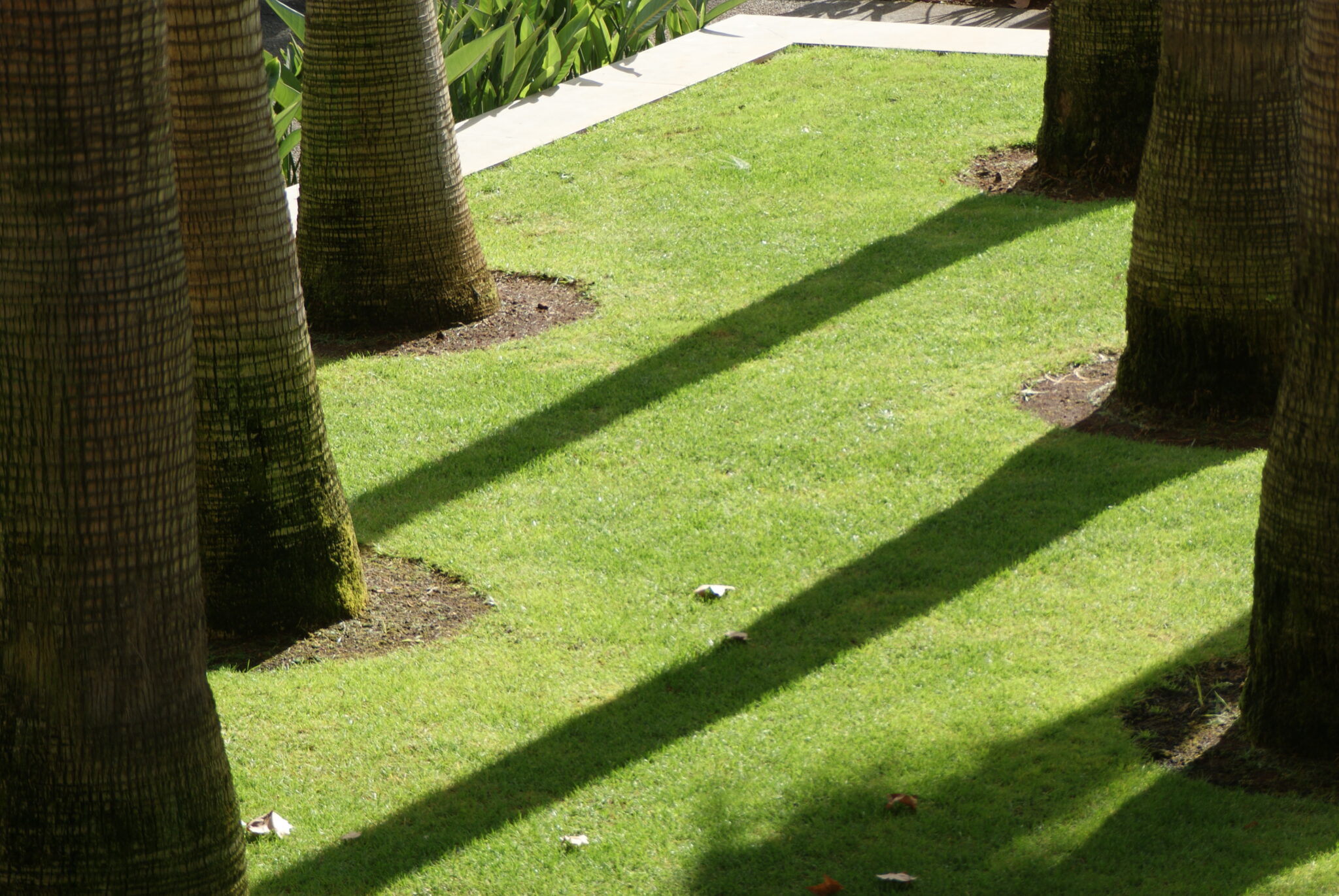 supraworks® - variabel und gesund<p>spezielle Übungen - individuell angepast</P>